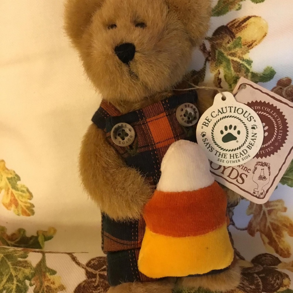 Boyds Bear/ Pauly Punkley/ Stuffed Bear/ With Tags